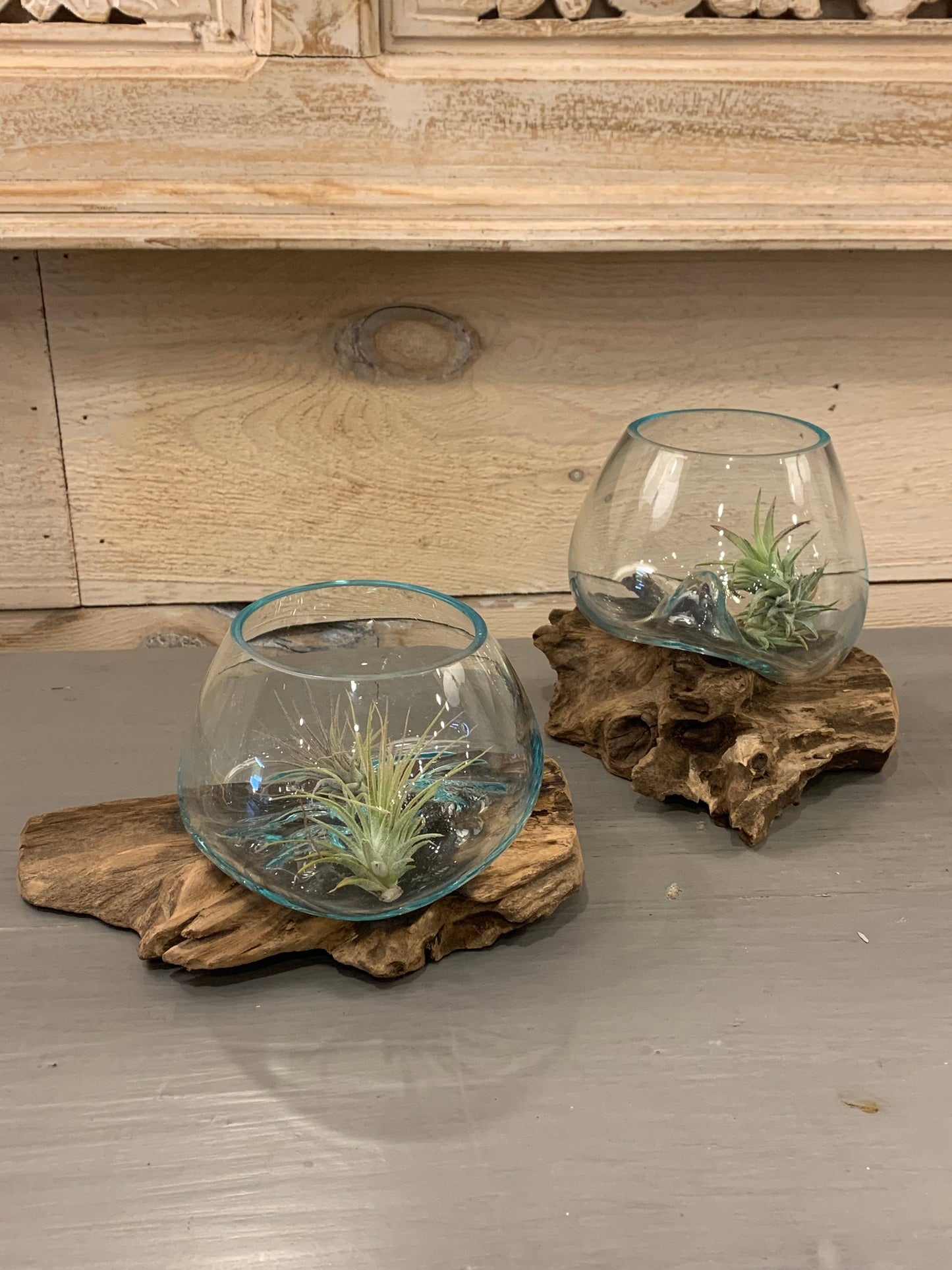 Asia West - Mini Glass Terrarium on Wood (approx. 6" x 5" x 5")