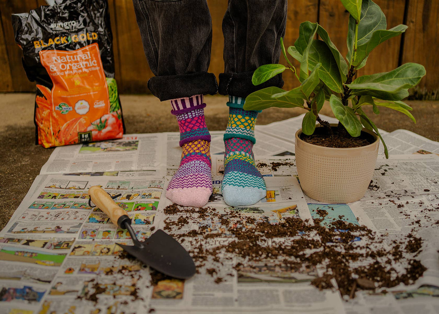 Solmate Socks - Petunia Crew Socks | Eco-Friendly & Made in the USA: Medium (Women 8 - 10 / Men 7 - 9)