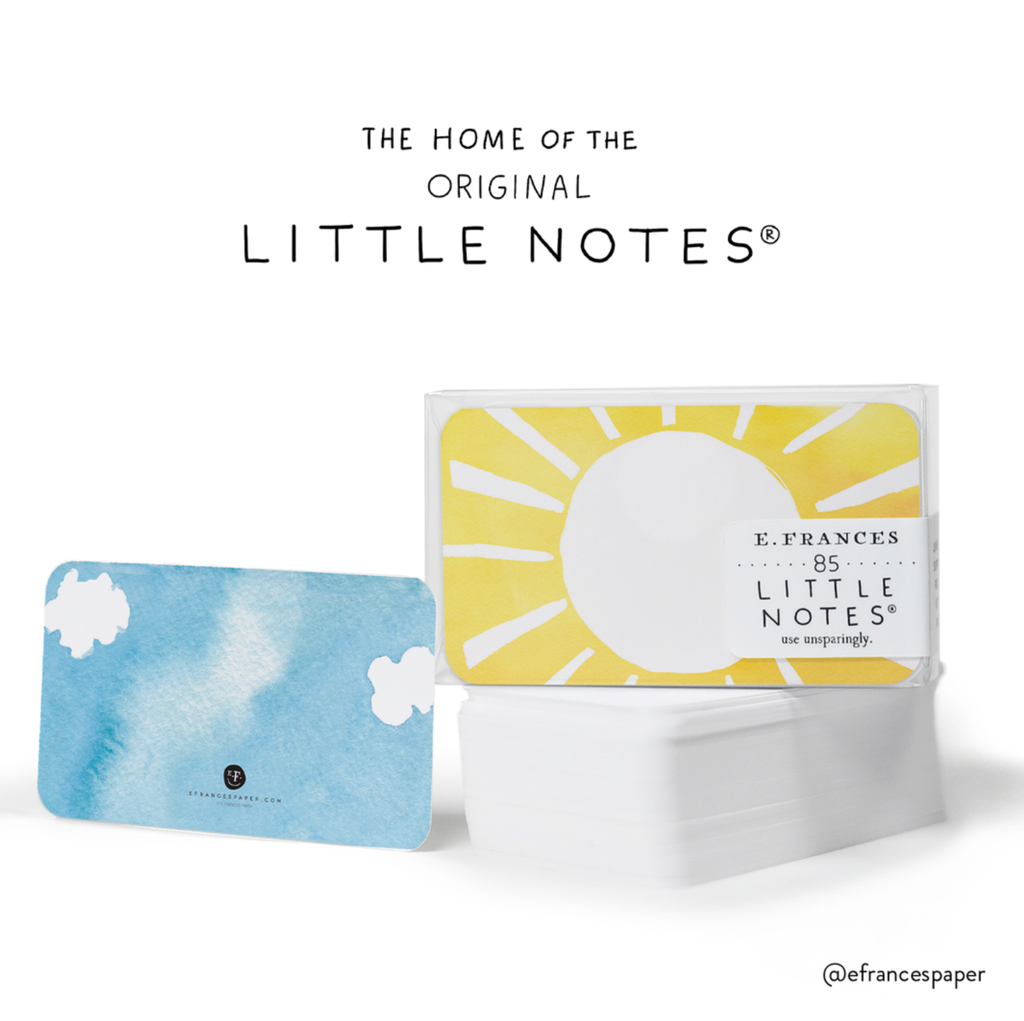 E. Frances Paper - Animal Friends Little Notes®