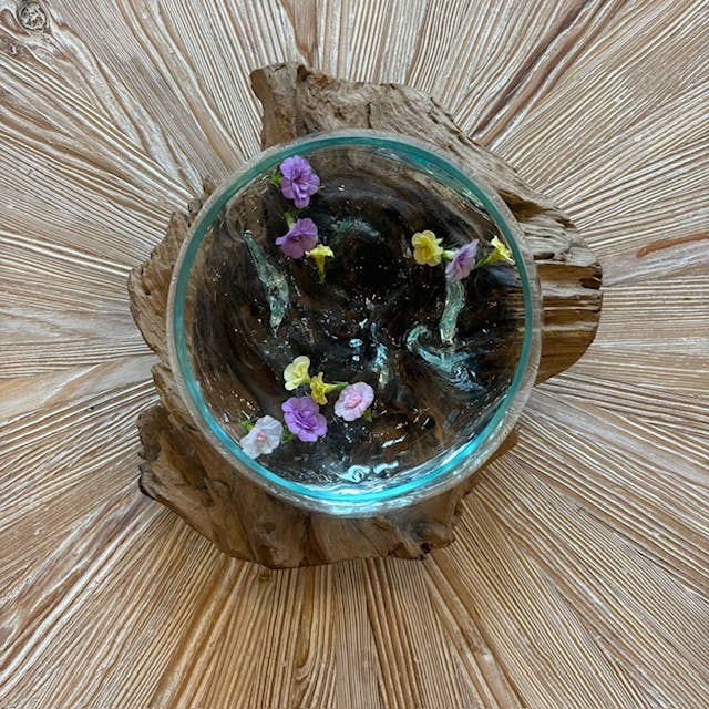 Asia West - Large Glass Bowl Hand Blown Glass on Driftwood