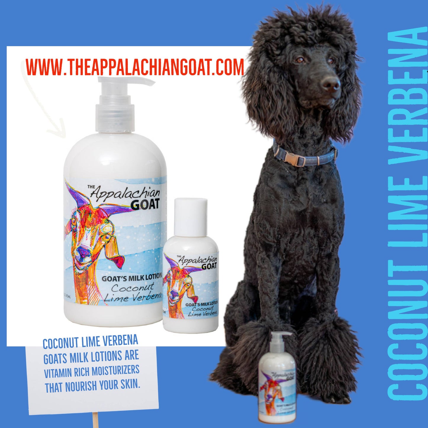 The Appalachian Goat - 16oz Coconut Lime Verbena Goats Milk Lotion
