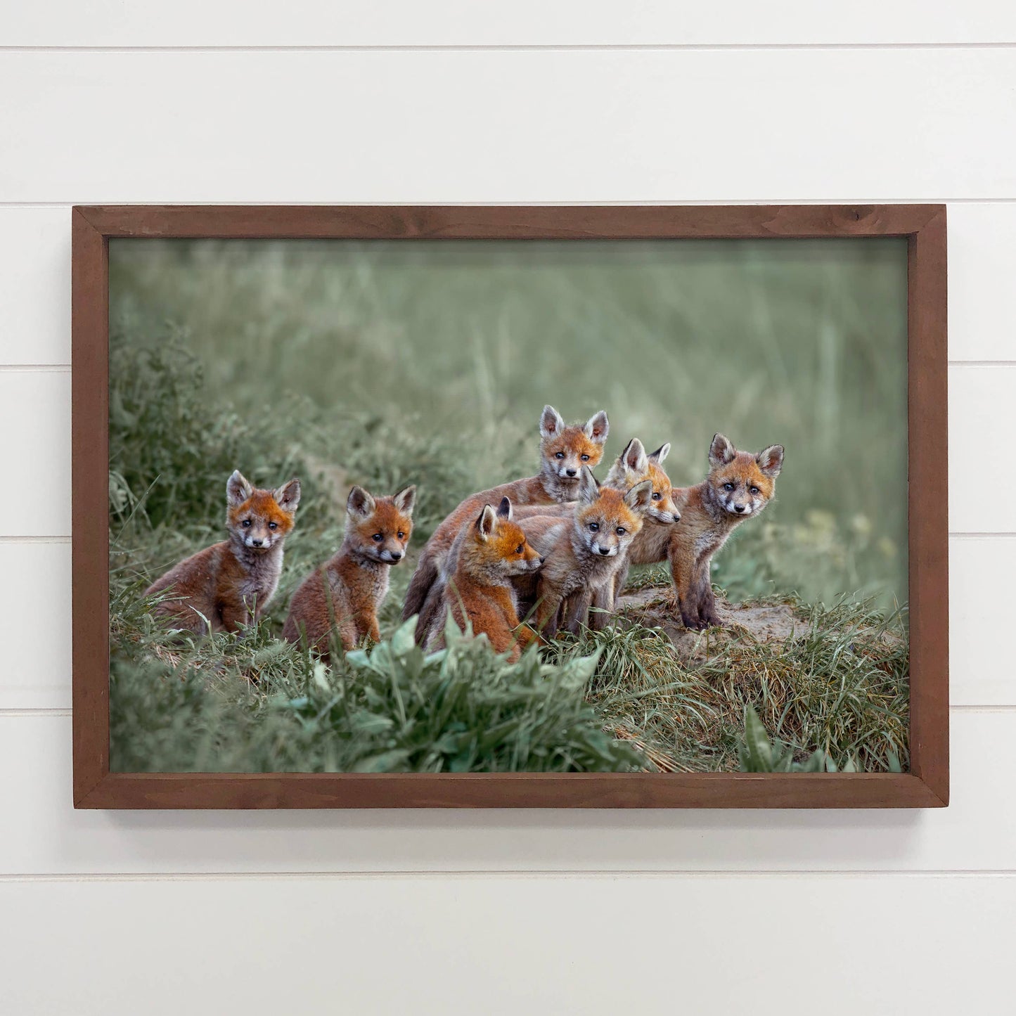 Hangout Home - Baby Fox Pups - Wildlife Photography Canvas Art - Wood Frame: 24x36" Extra Large Canvas Art with Thick Wood Frame