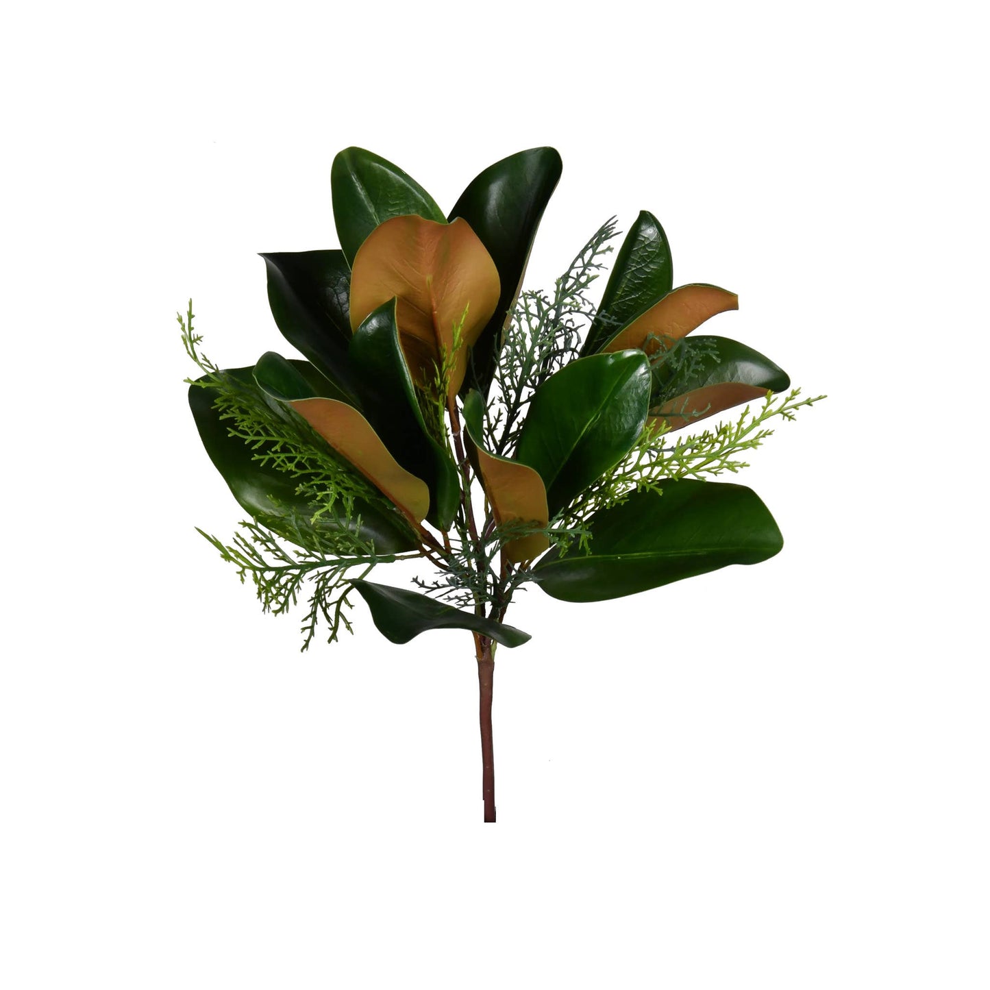 Mills Floral Company - Magnolia Evergreen Leaf Spray - 16 Inch