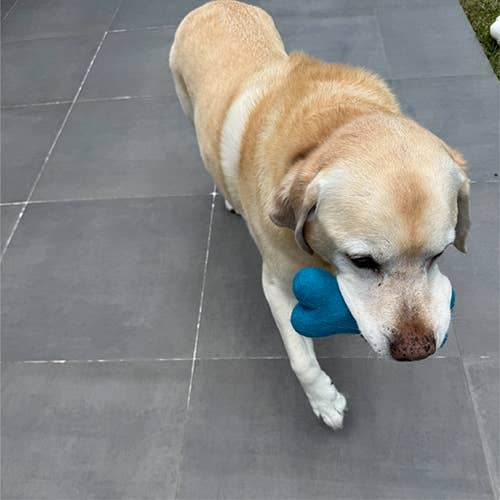 Ethical Global - Eco Wool Dog Bones/Toys: Fun Colors (Fair Trade): Green / Large