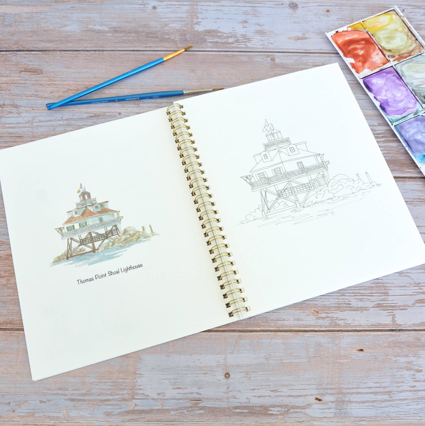 LKA Fine Art - Watercolor workbook, Maryland Themed Watercoloring book