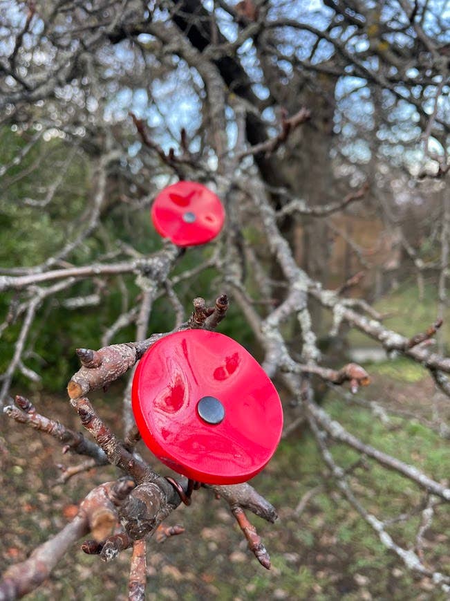 CARNEOL GLASS - Small Glass Flower For Outside In Red On Flexible Stem