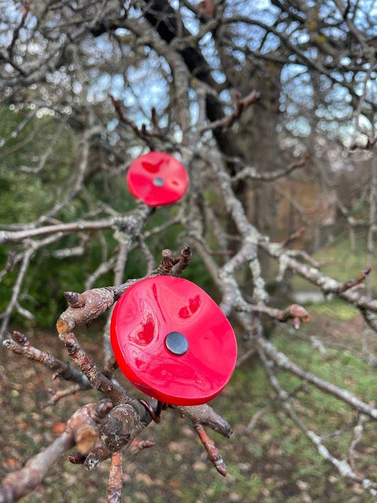 CARNEOL GLASS - Small Glass Flower For Outside In Red On Flexible Stem