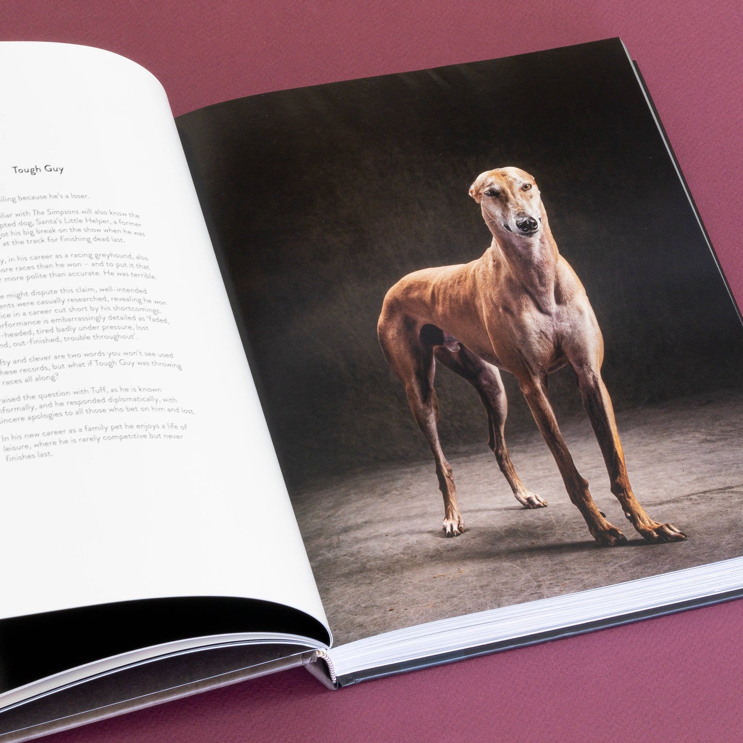 Chronicle Books - Year of the Dogs