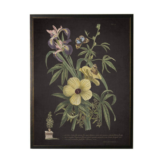 Antique Curiosities Inc - Vintage Floral And Butterfly Print On Black Background: Black Frame 2400-35 Za / 10" X 8"