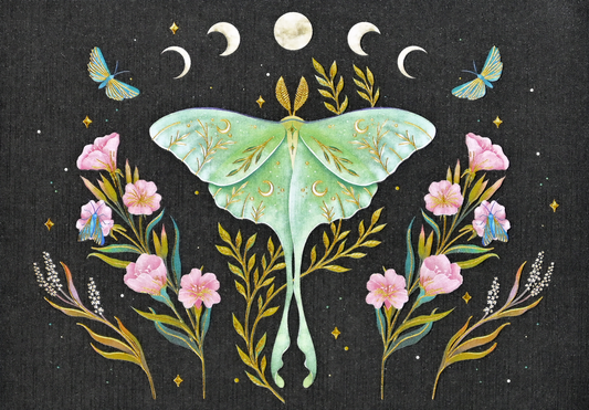 Peter Pauper Press - Luna Moth Note Cards
