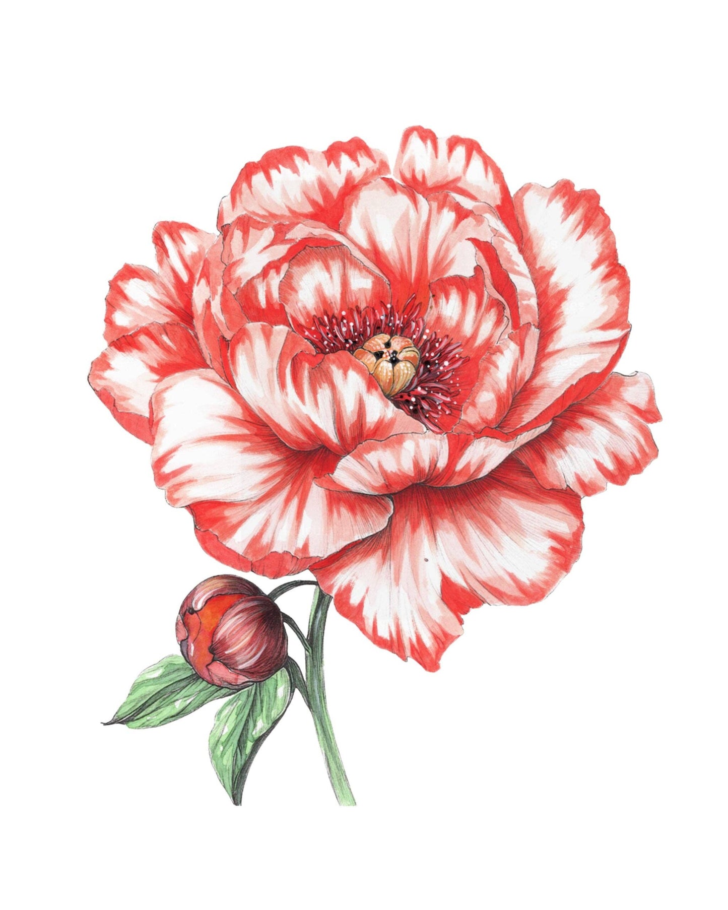 Willow Wolfe USA - Bold Flowers Watercolor Workbook