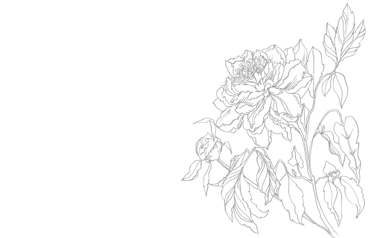 Schiffer Publishing - Kristy's Spring Cutting Garden: A Watercoloring Book