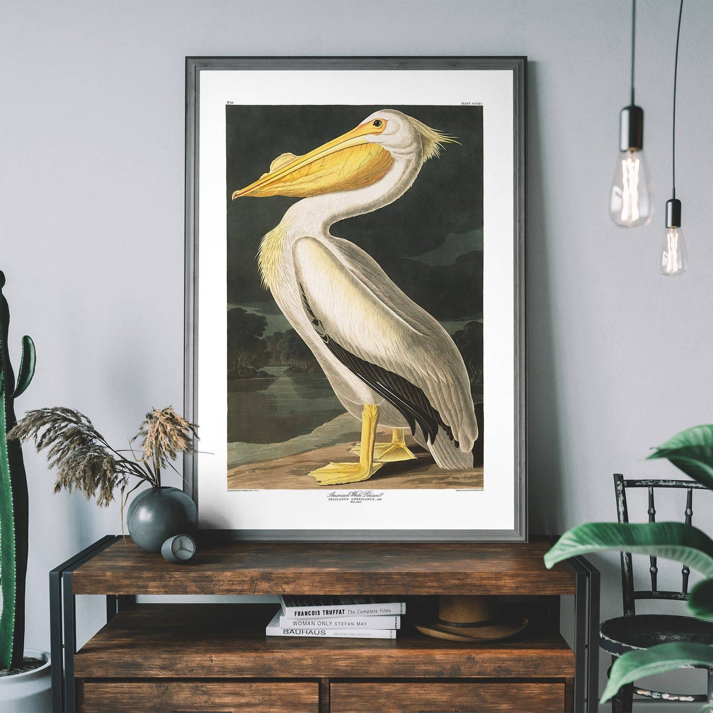 Ink & Drop - American White Pelican Vintage Antique Bird Print: 11 ¾ x 15 ¾ in | 30x40 cm / Matte