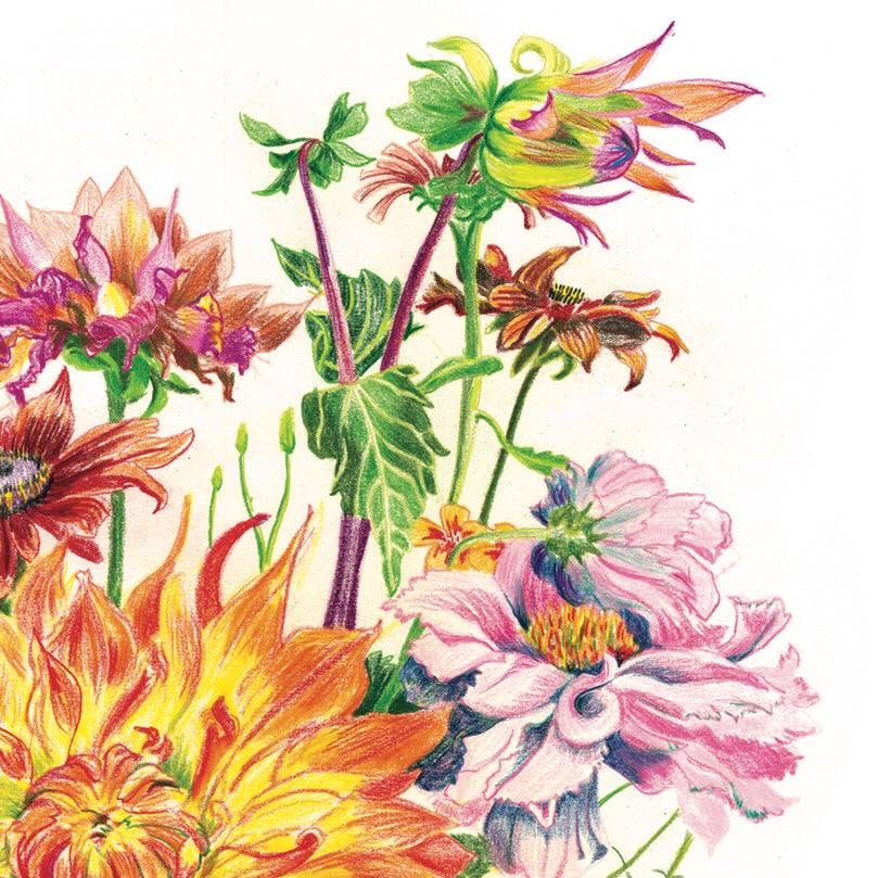 Vivid Cottage - Dahlia Delight - card