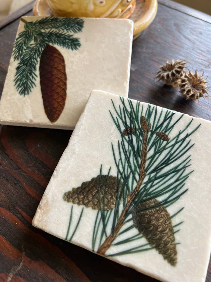 The Painted Lily - Pinecones stone coasters - case of 4