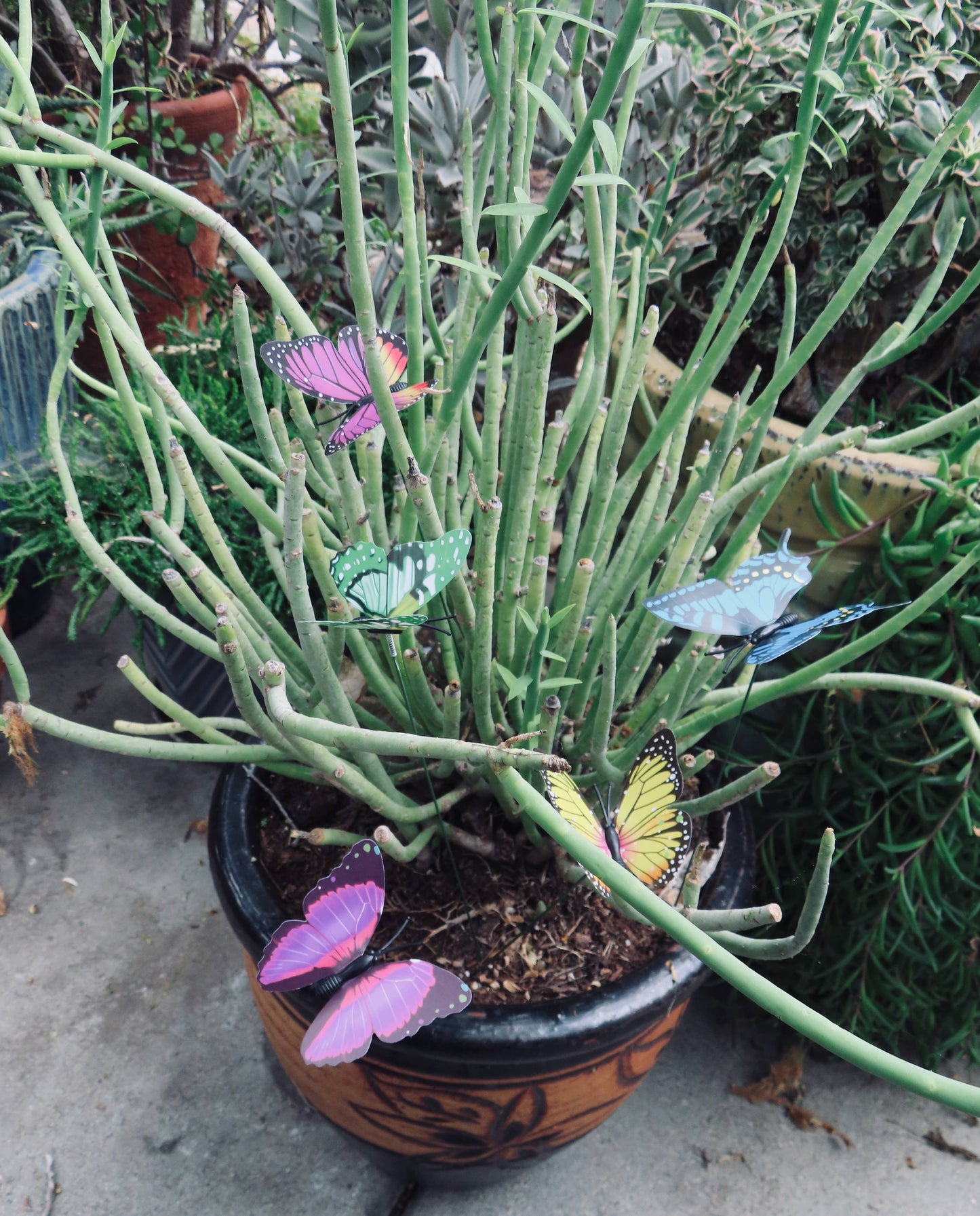 Gifts Amazing! - Butterfly on Wire Stem
