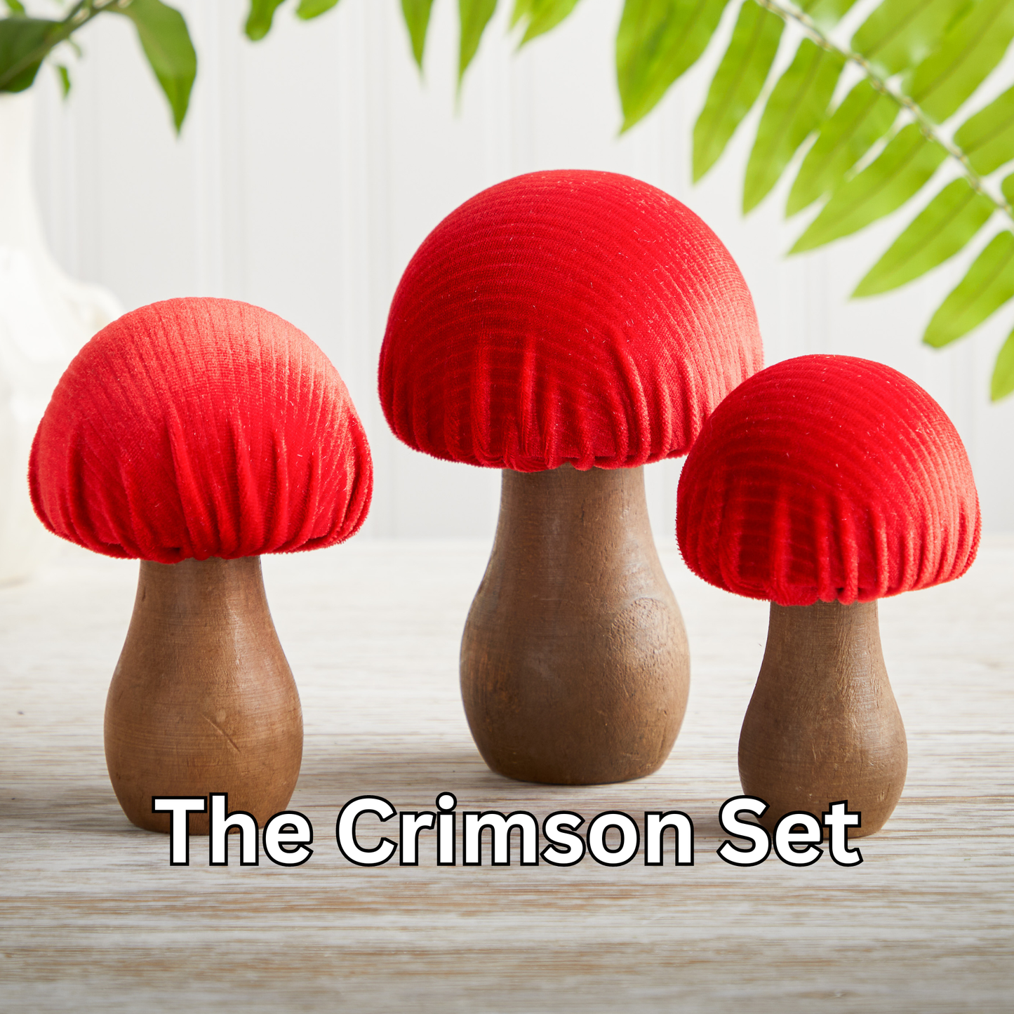 Your Heart's Content - Mushroom Velvet Sets All Season Decor, Nature Lover Gift: Velvet Quartz Set of 3