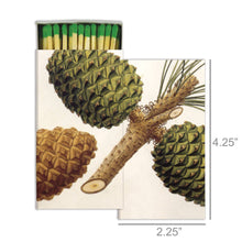 Load image into Gallery viewer, Matches - Pinecones