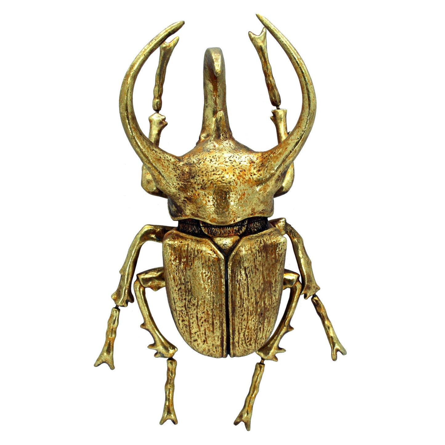 Modern World by Contrast Inc. - Gold Leafed Rhino Beetle Wall Decor