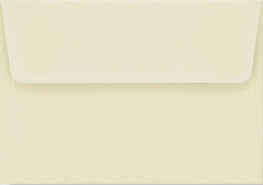 Peter Pauper Press - Ladybug Thank You Notes