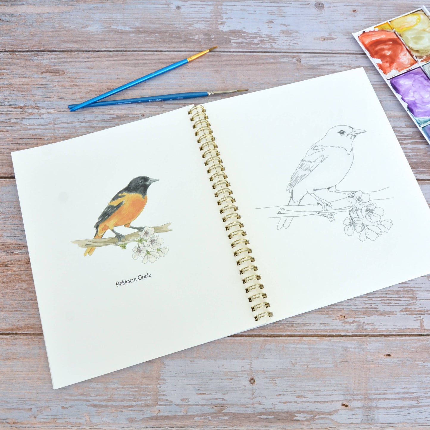 LKA Fine Art - Watercolor workbook, Maryland Themed Watercoloring book