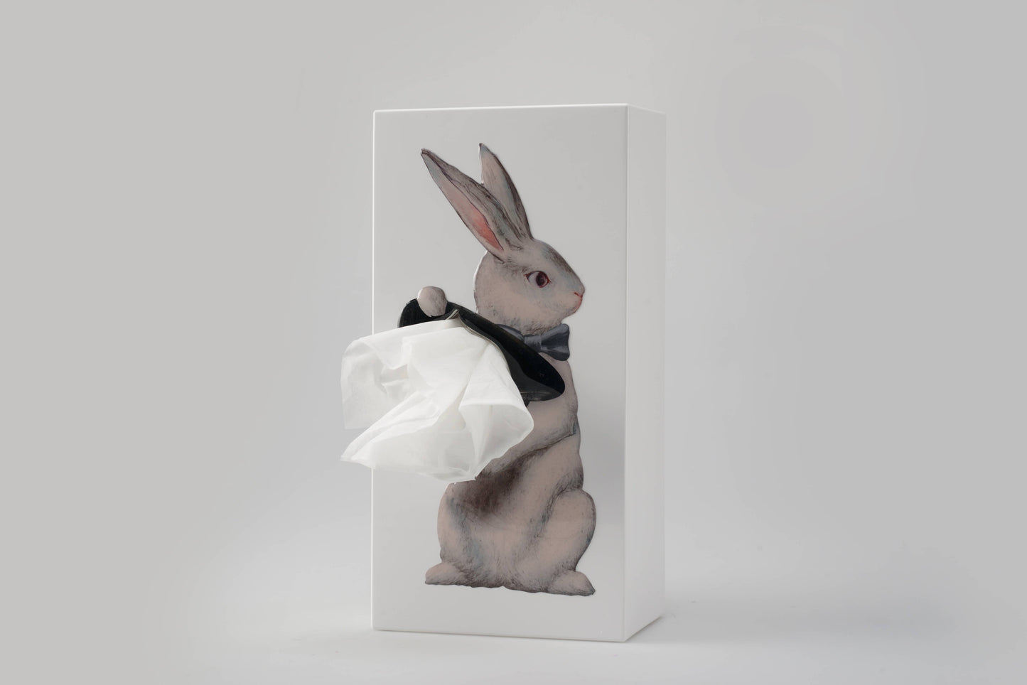 Beyond123 - Wonder Rabbit Tissue Box