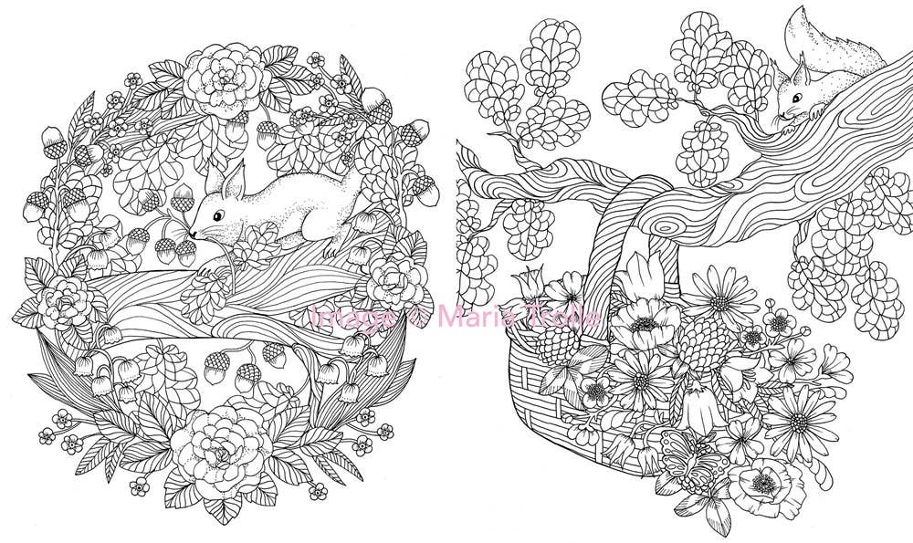 Gibbs Smith - Twilight Garden Coloring Book