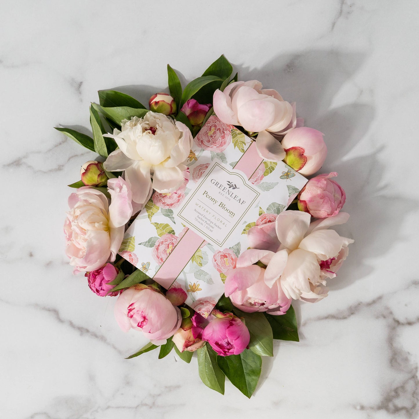 Greenleaf Gifts - Peony Bloom Large Sachet 18 Pack