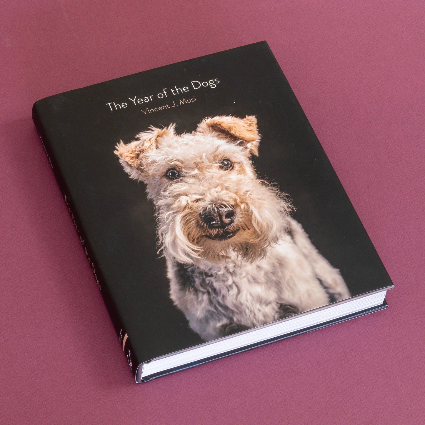 Chronicle Books - Year of the Dogs