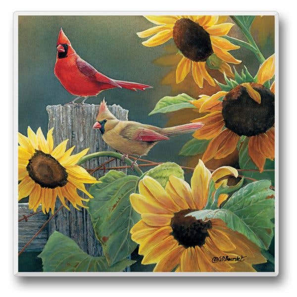 CounterArt/Highland Home/Thirstystone - Take Flight 9 Single Absorbent Stone Tumbled Tile Coaster