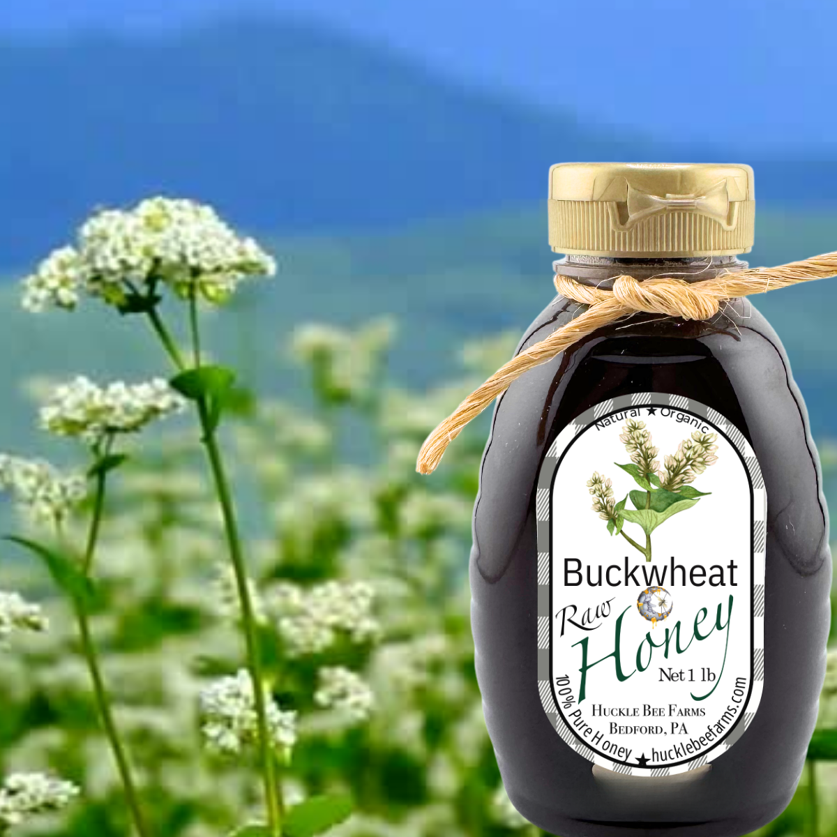 Huckle Bee Farms LLC - Raw Buckwheat Honey: 1 lb Bottle