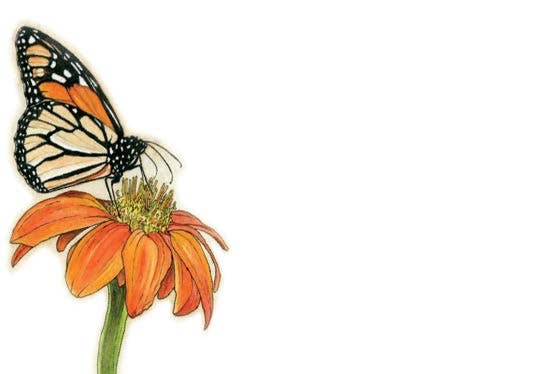 Forever Caroline LLC - Monarch Butterfly Tiny Cards | Pack of 60 "Love Notes"