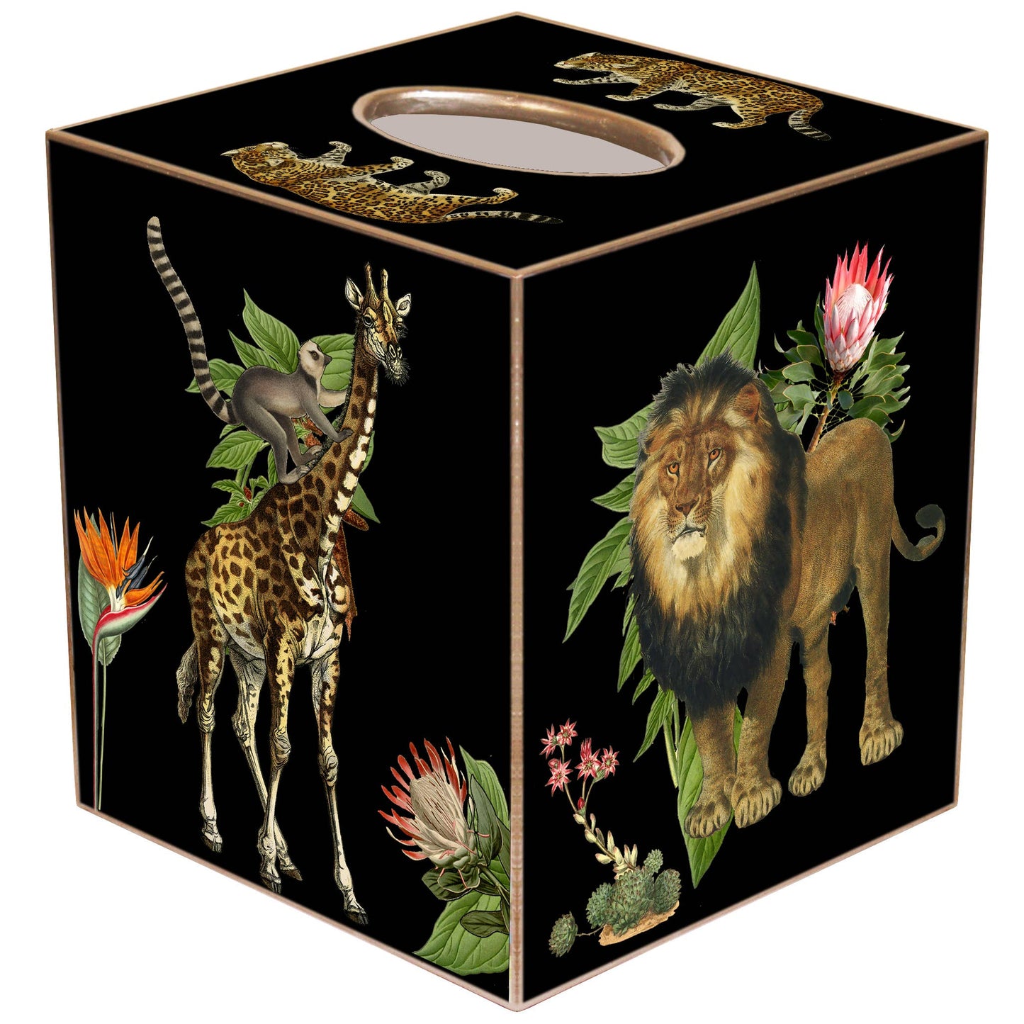 Marye-Kelley - African Obsession Black Tissue Box Cover: Paper Mache