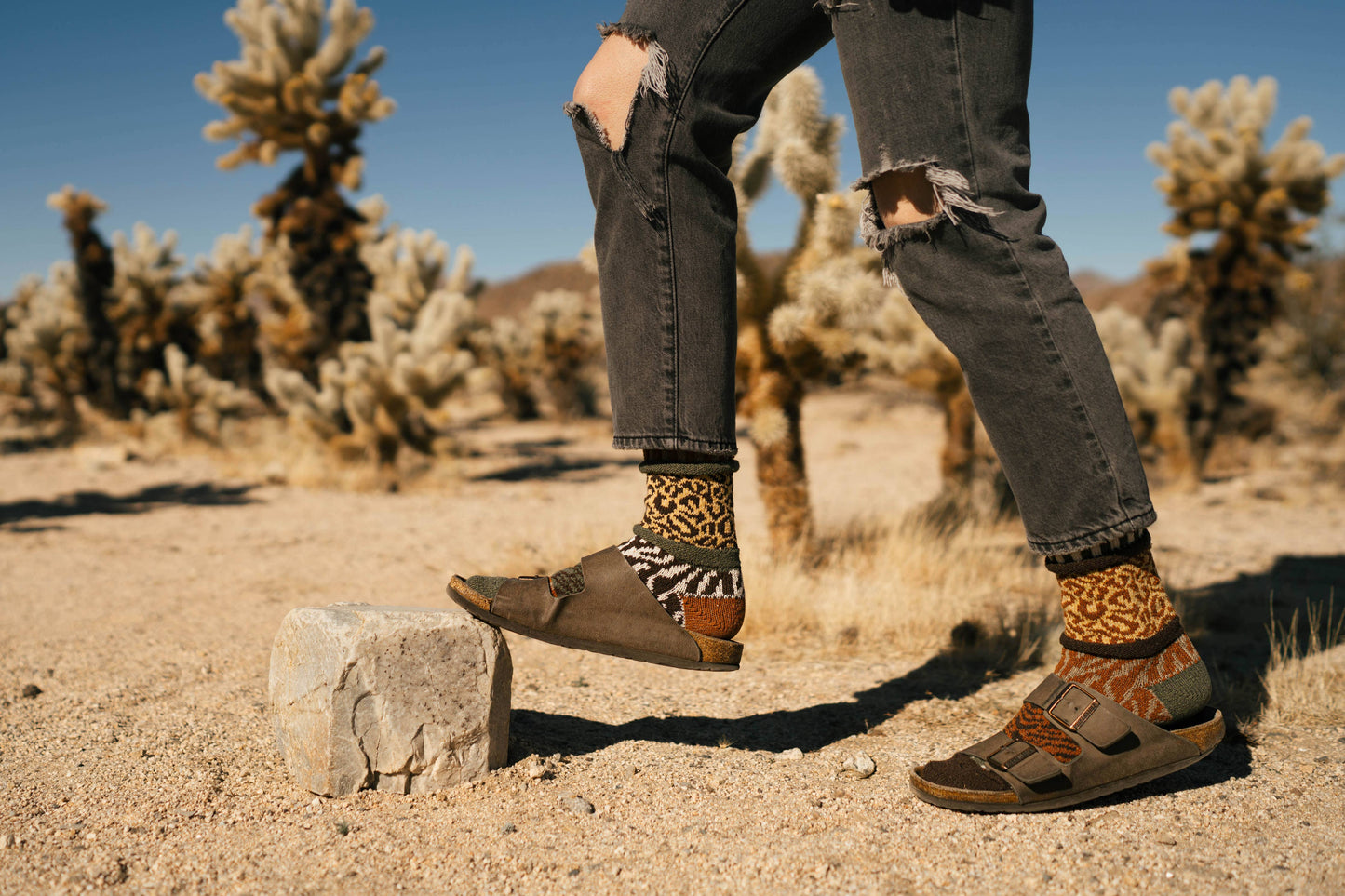 Solmate Socks - Savanna Crew Socks | Gives Back To Wildlife Conservation : Large (Women 10 - 12 / Men 9 - 11)