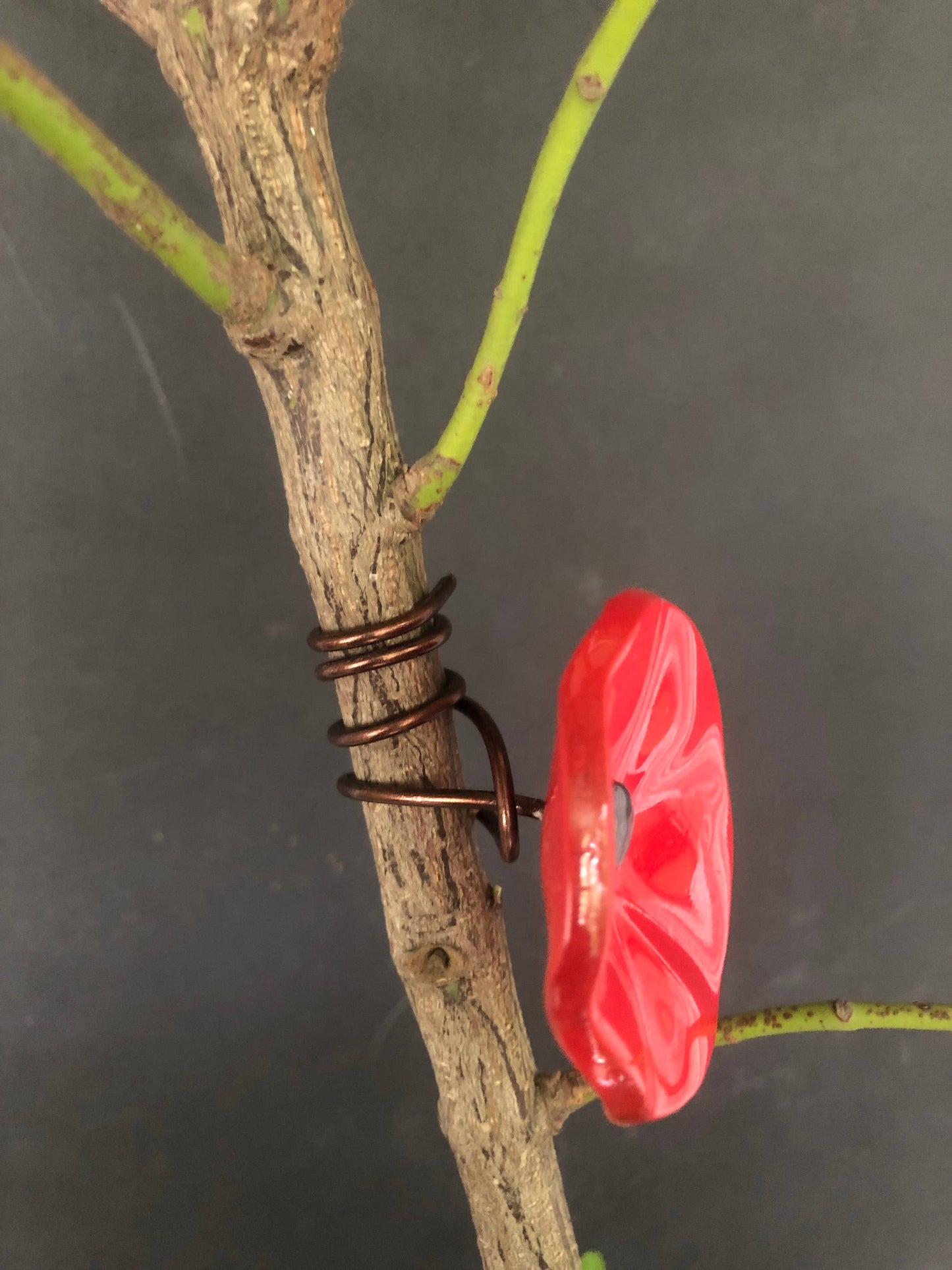 CARNEOL GLASS - Small Glass Flower For Outside In Red On Flexible Stem