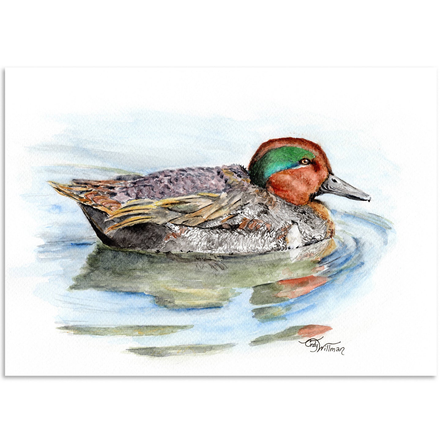 Moonlight & Grace - Green-winged Teal