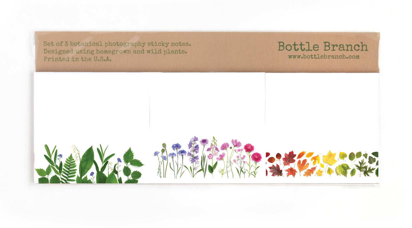 Bottle Branch - Sticky notes - 3 pack - Spring Summer Fall (updated)