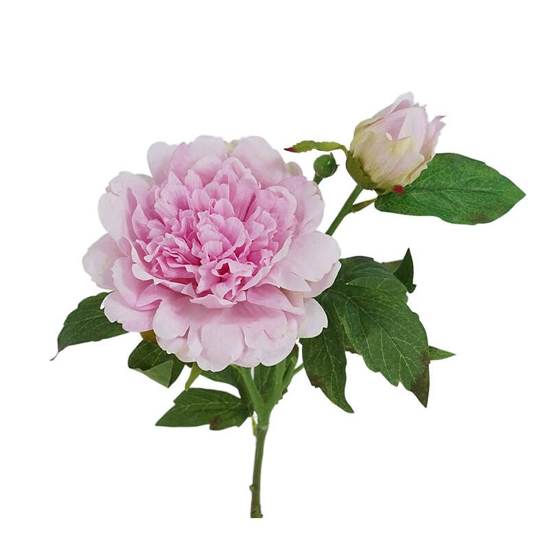 Angel Isabella - 25.5"- Real Touch Peony Stem-2 Blooms: Hot Pink