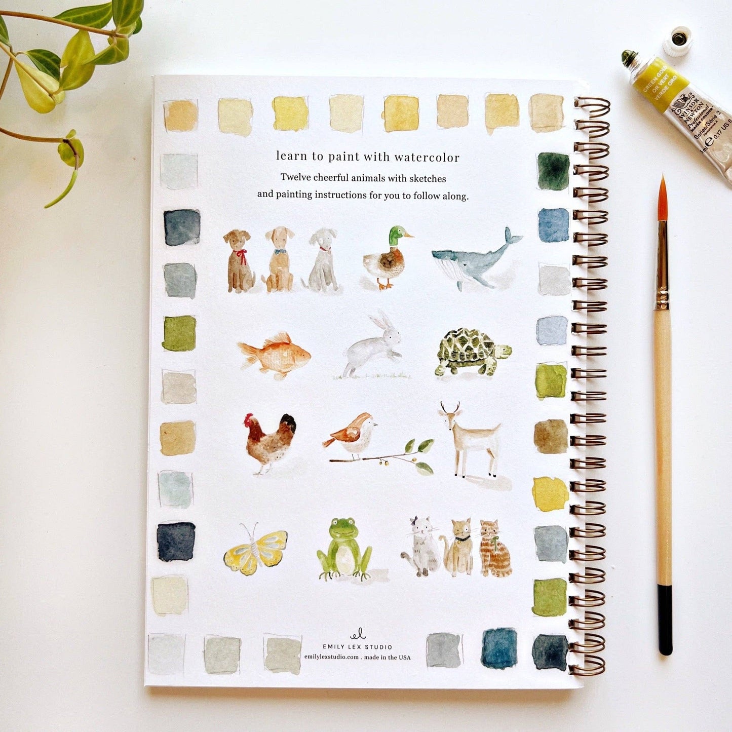 emily lex studio - Animals watercolor workbook presale