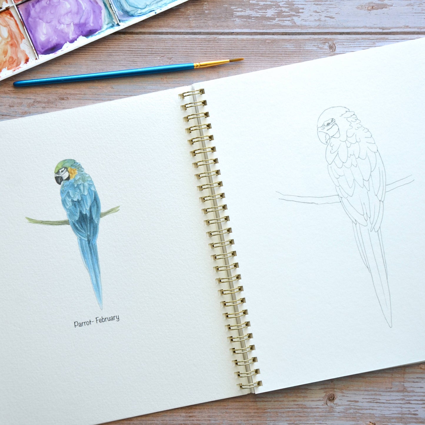 LKA Fine Art - Watercolor workbook, Birth Month Birds Watercoloring book