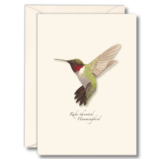 Earth Sky + Water - Ruby-throated Hummingbird