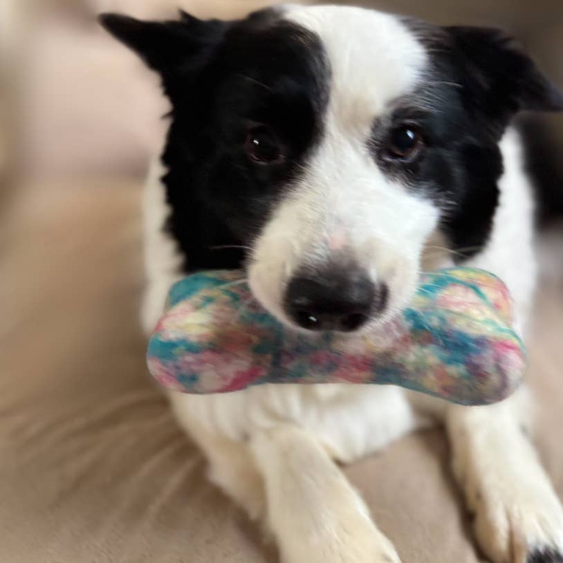 Ethical Global - Eco Wool Dog Bones/Toys: Polka Dot & Tie-Dyed (Fair Trade): Tye-Dyed / Large