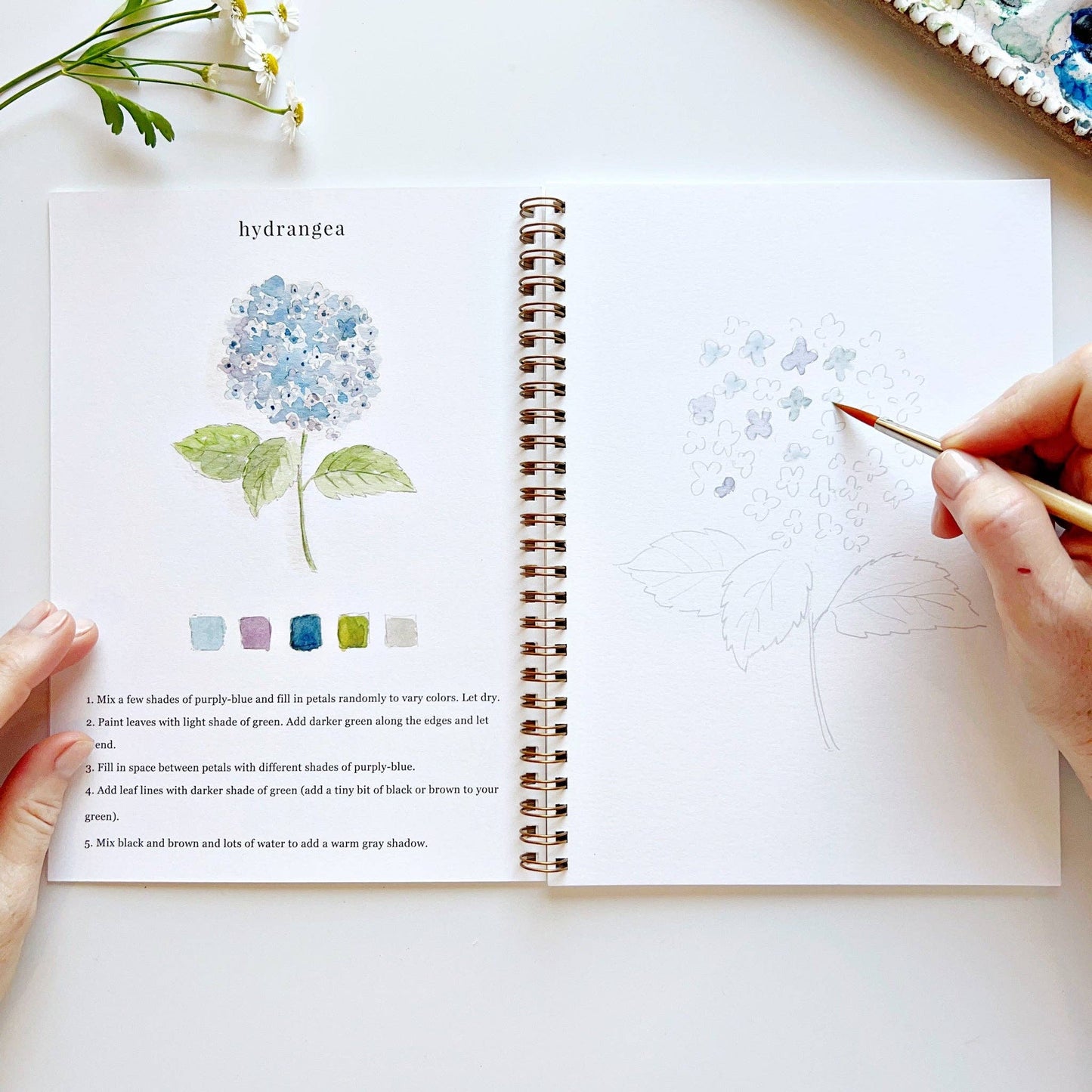 emily lex studio - Flowers watercolor workbook presale