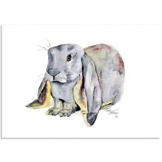 Moonlight & Grace - Dust Bunny