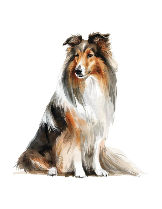 Bourbon & Bacon - Collie Note Cards