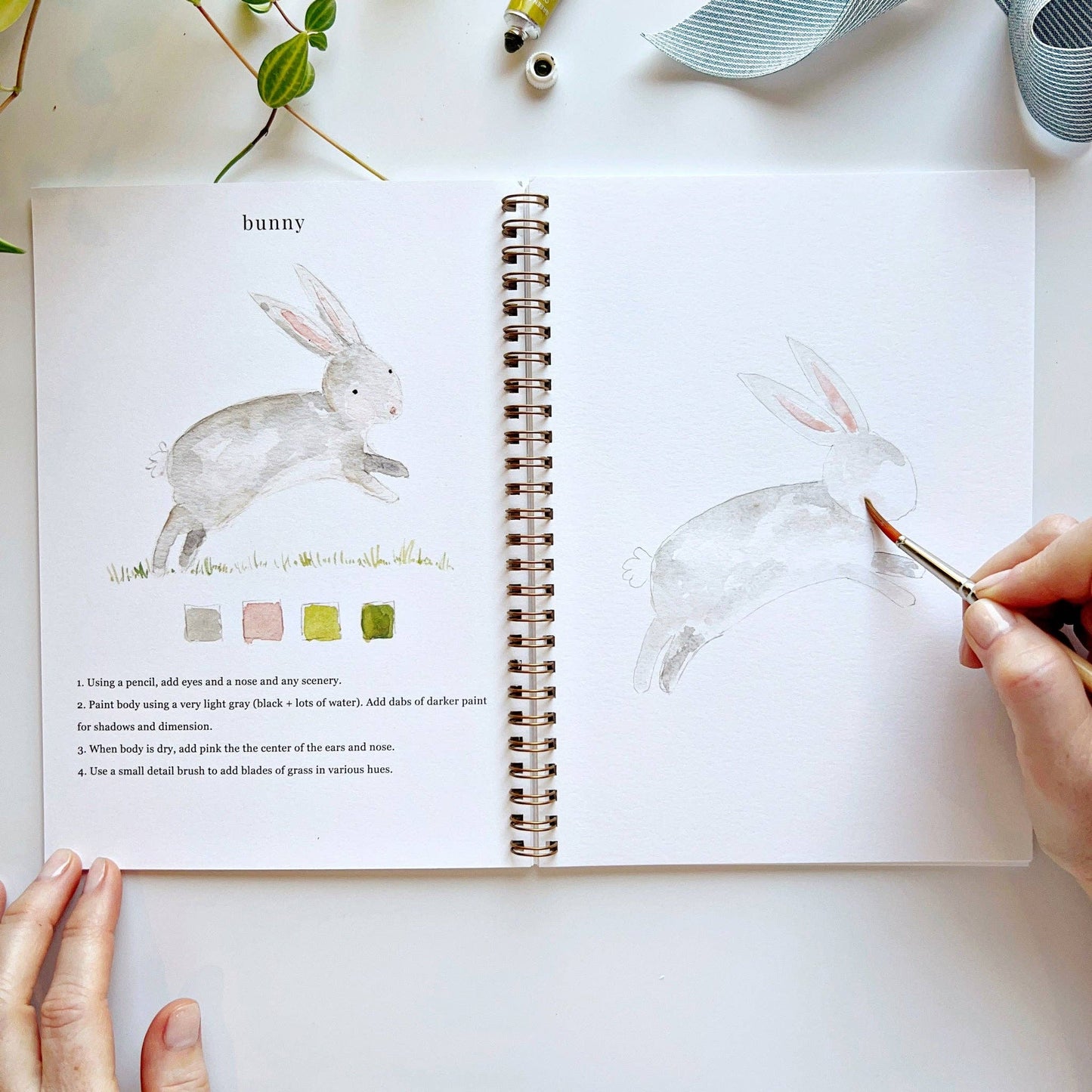 emily lex studio - Animals watercolor workbook presale