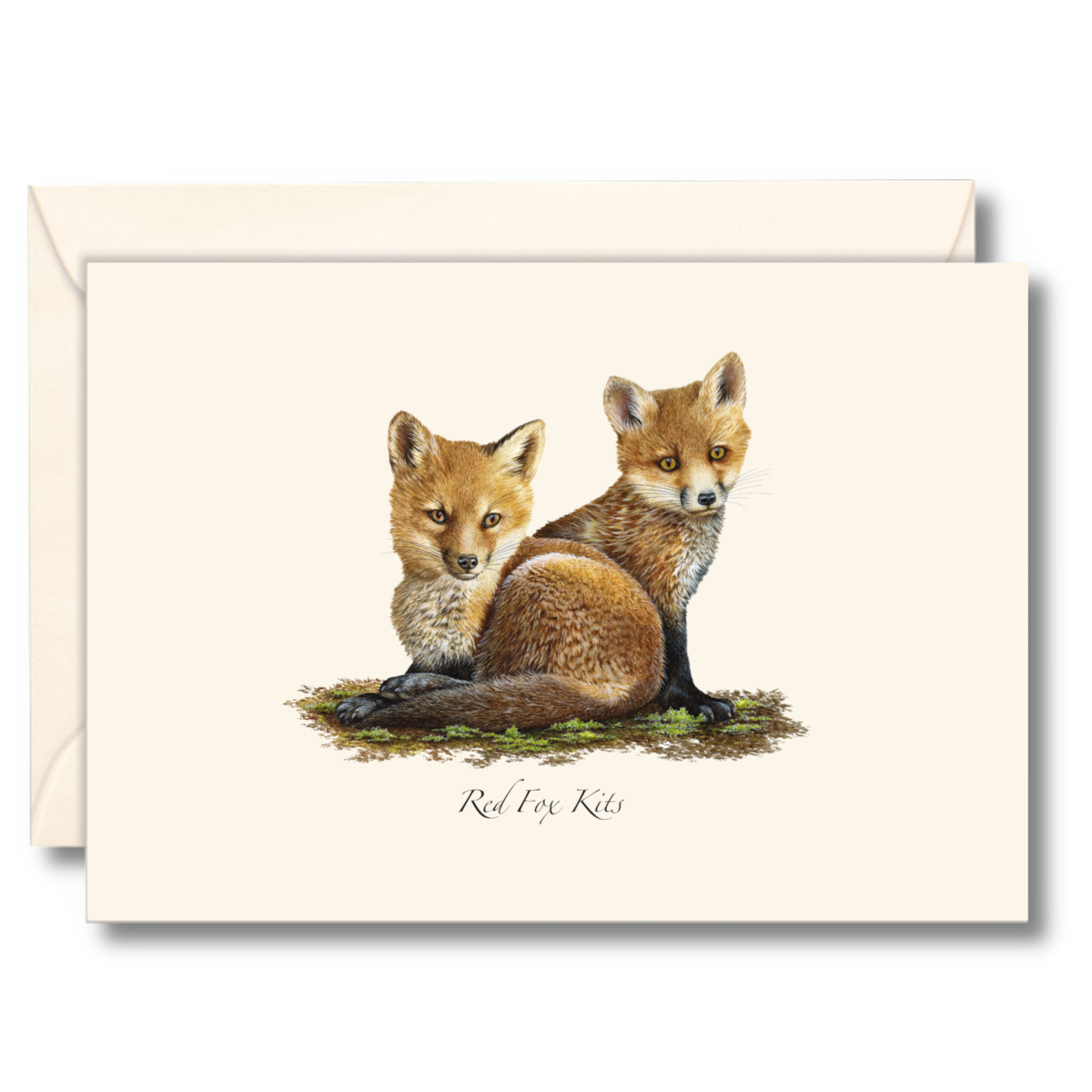 Earth Sky + Water - Red Fox Kits Notecard Set