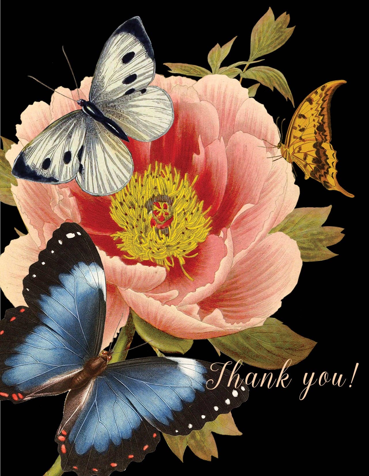 P. Flynn Design / Phun House - Thank you (blue butterfly) • A-2 Greeting Card