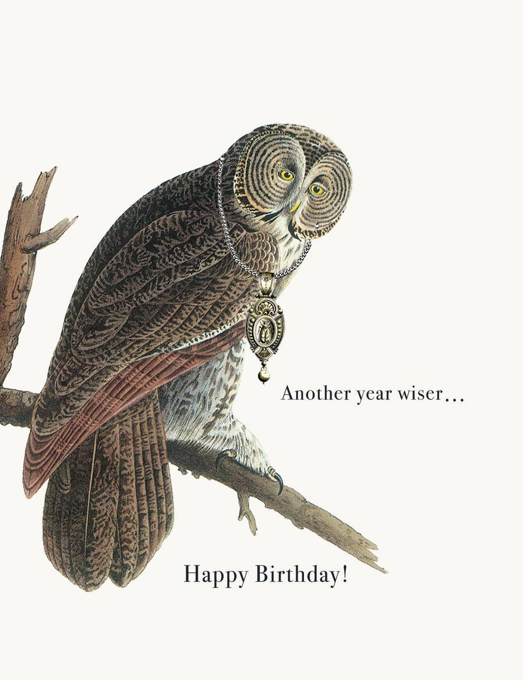 P. Flynn Design / Phun House - Another Year Wiser • A-2 Greeting Card