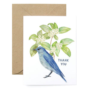 Lana's Shop - Thank You Bluebird Box Set
